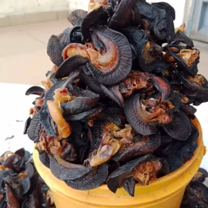 Dried Snails (Medium Size: 50 pcs)